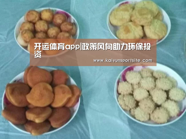 开运体育app|政策风向助力环保投资(图3) 开云体育kaiyun