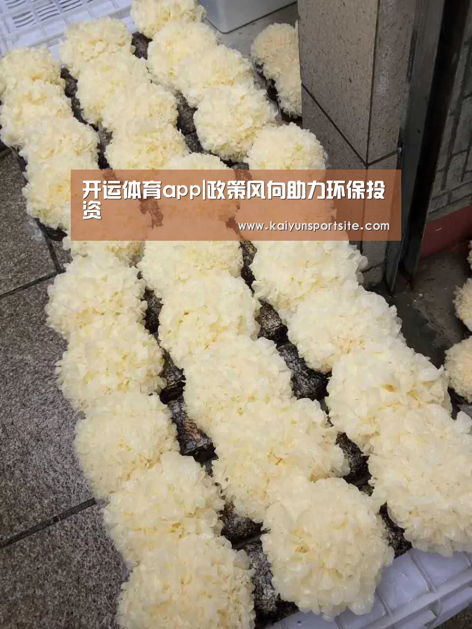 开运体育app|政策风向助力环保投资(图4) kaiyu体育