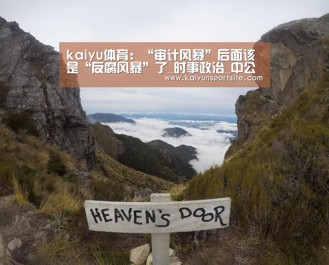 kaiyu体育：“审计风暴”后面该是“反腐风暴”了_时事政治