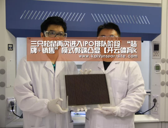 三只松鼠再次进入IPO排队阶段 “贴牌+销售”模式弊端凸显【开云体育kaiyun】(图1) 开云体育kaiyun