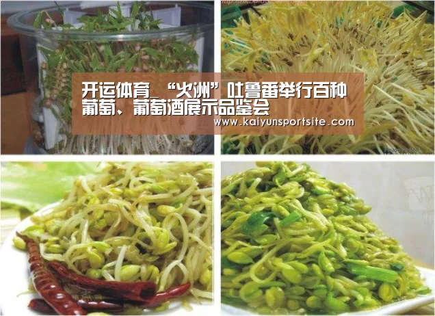 开运体育app