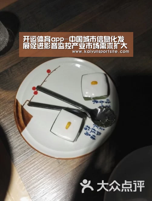 开运体育app-中国城市信息化发展促进影音监控产业市场需求扩大(图3) 开运体育app